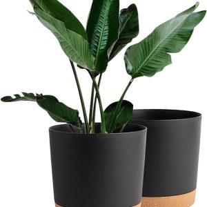10 inch Plant Pots Indoor 2 Pack Flower Pots